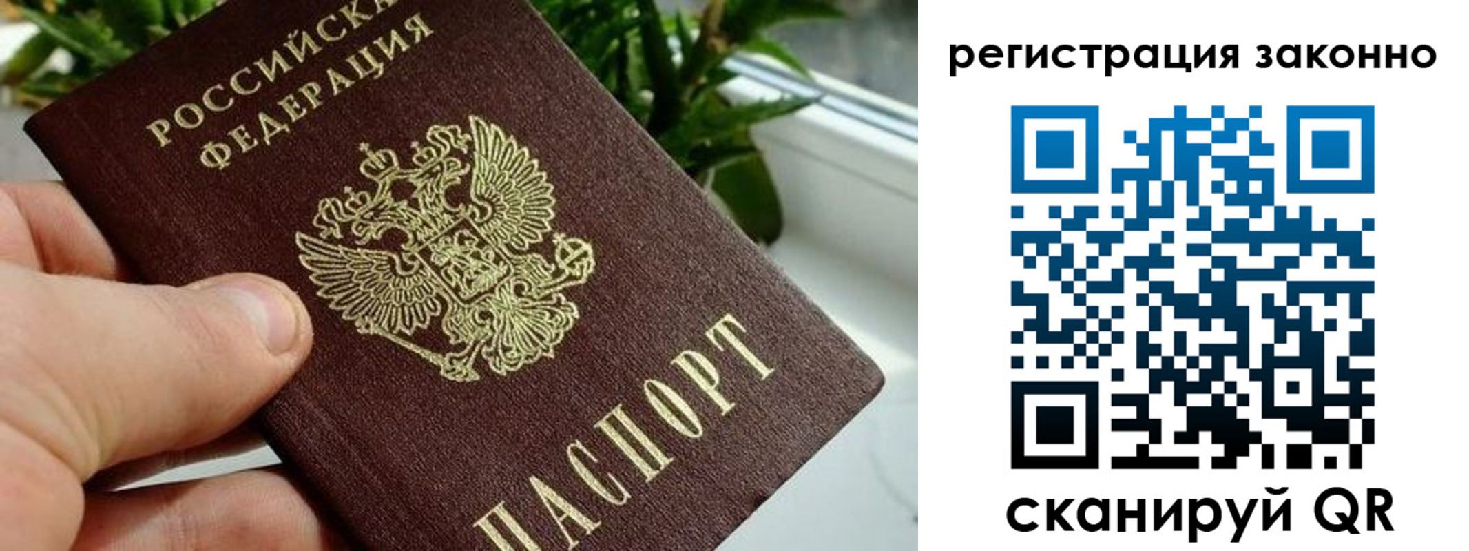 прописка гарантия в Домодедово